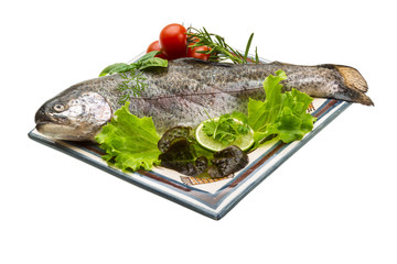 Fresh raw rainbow trout