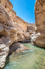 The creek in valley Wadi Hasa in Jordan