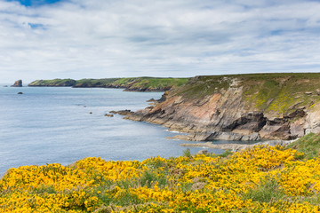Pembrokeshire coast scene towards Skomer Island Wales