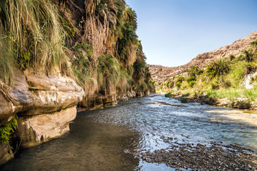 The creek in valley Wadi Hasa in Jordan - 53373815