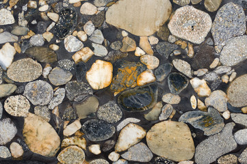 Marble-Granite-Onyx Texture