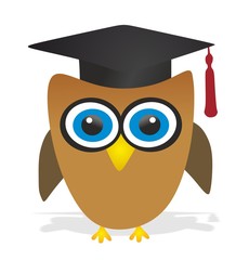 owl - graduation