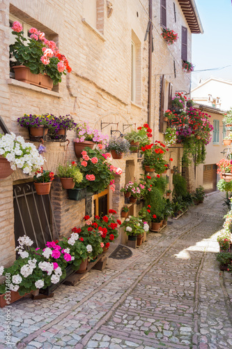 Vicolo con vasi in fiore, Spello