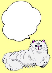 ペルシャ猫のメッセージカード