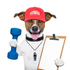 Stickers pour porte Chien fou fitness dog