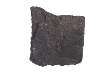 Boghead coal torbanite