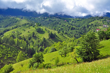 Obraz premium Vibrant green hills and mountain
