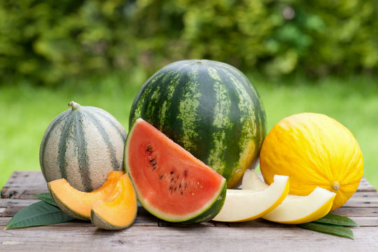 Frische Melonen