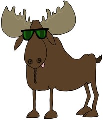 Moose wearing sunglasses
