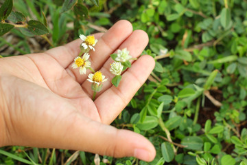 White flowers - in the hands of children.