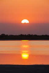 sunrise in Camargue, Provence, France