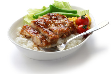 teriyaki chicken on rice, japanese cuisine