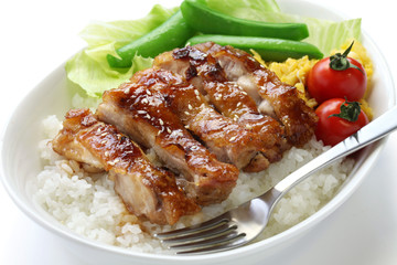 teriyaki chicken on rice, japanese cuisine