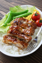 teriyaki chicken on rice, japanese cuisine
