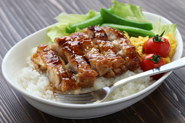 teriyaki chicken on rice, japanese cuisine