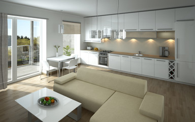 Modern open kitchen and living room