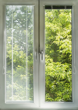 Window view