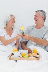 Obraz na płótnie Canvas Mature man giving wife a yellow rose