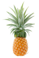 Large ripe pineapple isolated on white