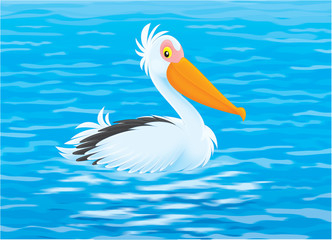 Pelican