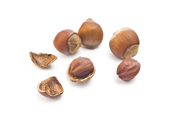 hazelnuts