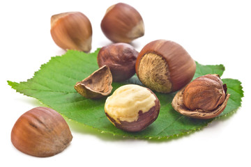 hazelnuts