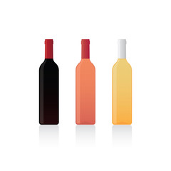 Isolated bottles of wine set