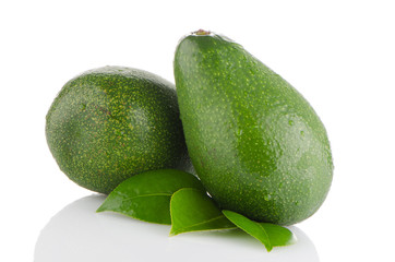 Avocados on white