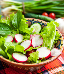 Vegetables salad with radish and herbs