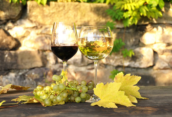 Glasses of wine and a bunch of grapes. Lavaux region, Switzerlan