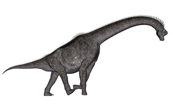 Brachiosaurus dinosaur