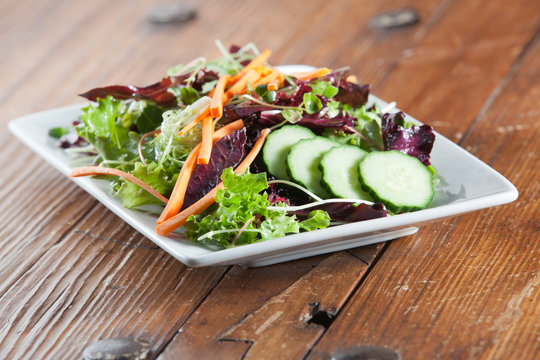 Fresh arugula and fennel salad with sprouts and cucumbers