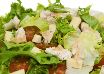 fresh chicken salad on white background