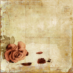Vintage  shabby background with rose