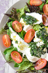 Salat mit Büffel Mozzarella