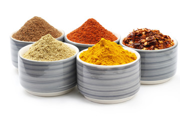 Variety of raw Authentic Indian Spices