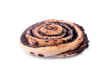 Cocoa snail isolated on a whitebackground