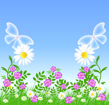 Daisies and transparent butterflies