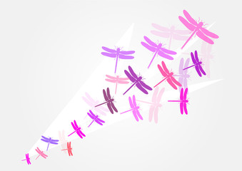 Envole de libellules