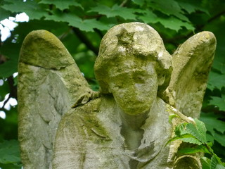 Engel