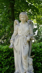 Fototapeta premium Engel