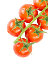 Cherry Tomatoes over white background