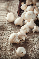 White Mushrooms Cepes scattered on the wooden table