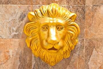 golden lion head