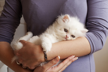 Girl holding white kitten