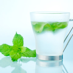 fresh mint and ice drink closeup