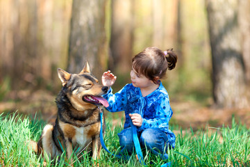 Happy little girl playing with dog on the grass