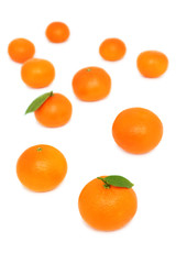 Scattered mandarins on white background (vertical shot)