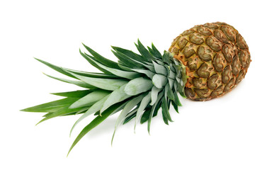 Fototapeta premium Ripe pineapple on white background