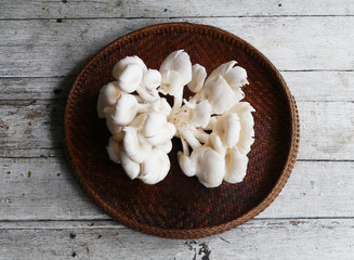 Sajor-caju Mushrooms in the threshing basket on wooden table